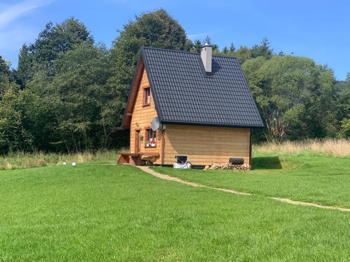 Villa Dwernik Bukowina Bieszczady Extérieur photo