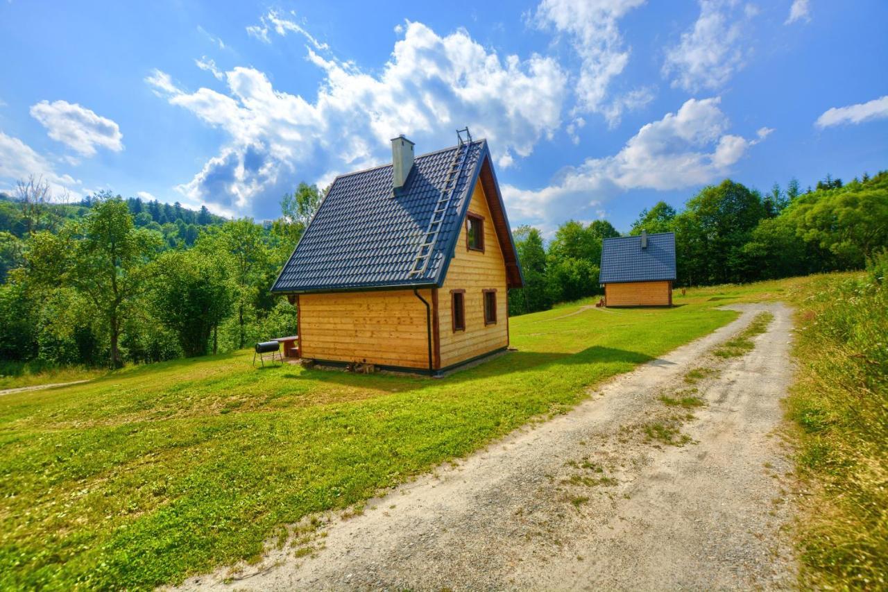 Villa Dwernik Bukowina Bieszczady Extérieur photo