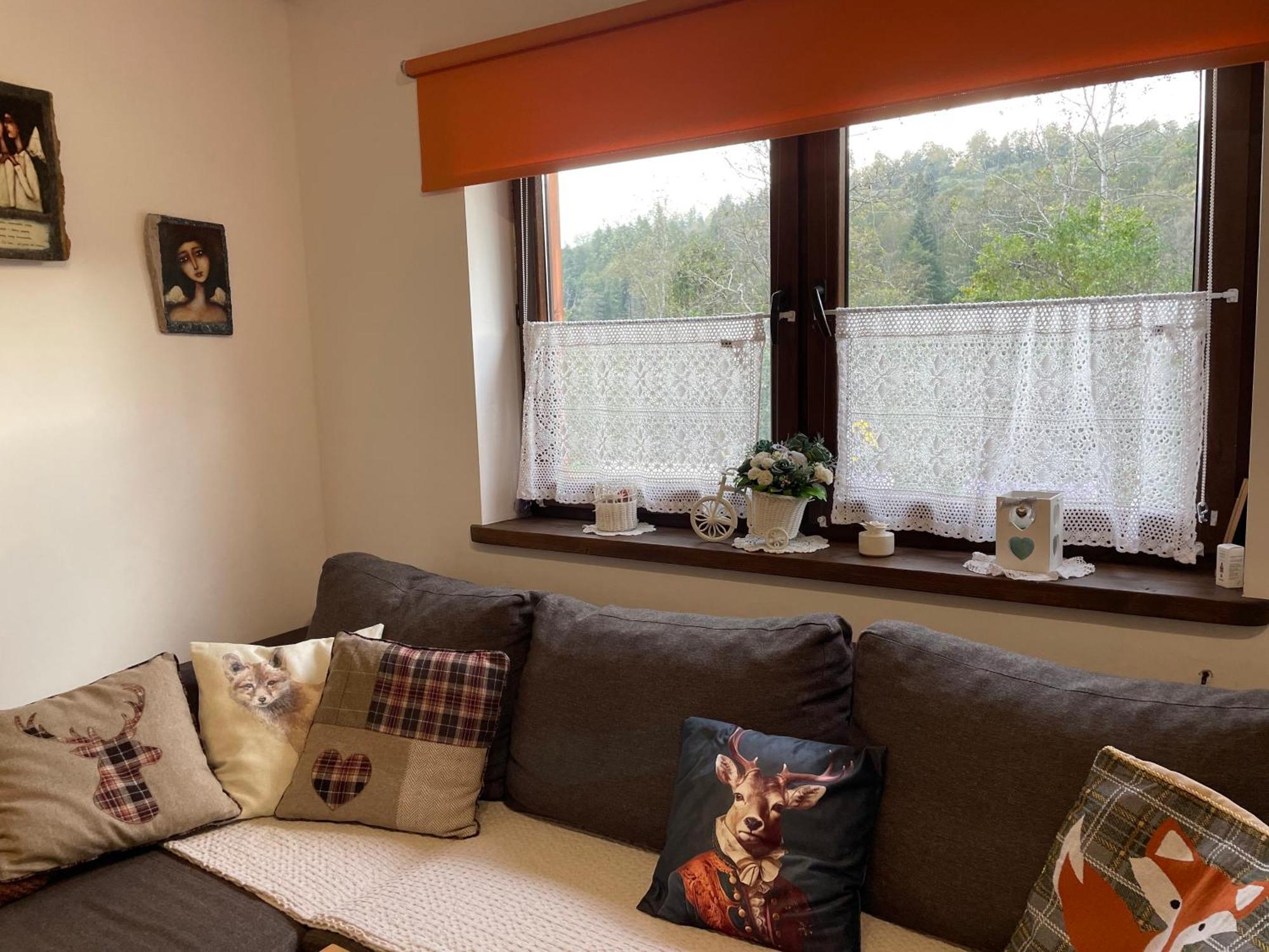 Villa Dwernik Bukowina Bieszczady Extérieur photo